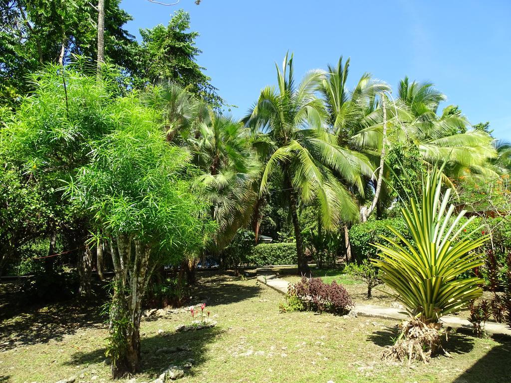 Cabinas Caribe Luna Cahuita Exterior photo